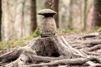 Wood carving of a mushroom in a forest - Bavaria