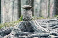 Wood carving of a mushroom in a forest - Bavaria