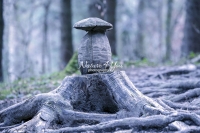 Wood carving of a mushroom in a forest - Bavaria