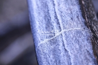 Winter: Wood Forms - Bavaria