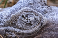 Winter: Wood Forms - Bavaria