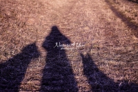 Magnificent Dogs,dogs,playing,running