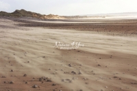 Sandstorm at the dunes moving on to the ocean