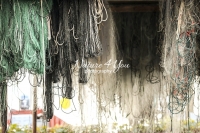 Nature Photography; Art;Urban Animal Life; Urban living; Zurich; Switzerland; Fishing; Fishing nets; Water; Beach; Ocean; Sea