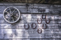 Nature Photography; Art; Urban Animal Life; Urban living; Bavaria; Germany; Horseshoes; Animal Farm Bavarian Style