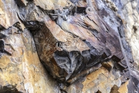 Nature Photography; Art; Landscape; Mountains; Rocks; Switzerland; Walensee; Rock Forms