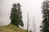 Nature Photography; Art; Landscape; Mountains; Rocks; Clouds; Fog; Switzerland; Walensee; Kurfirsten