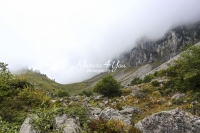 Nature Photography; Art; Landscape; Mountains; Rocks; Clouds; Fog; Switzerland; Walensee; Kurfirsten