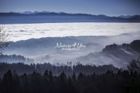 Nature Photography; Art; Landscape; Mountains; Rocks; Clouds; Fog, Switzerland; Zurich; Zurich sea; winter