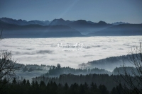 Nature Photography; Art; Landscape; Mountains; Rocks; Clouds; Fog, Switzerland; Zurich; Zurich sea; winter