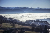 Nature Photography; Art; Landscape; Mountains; Rocks; Clouds; Fog, Switzerland; Zurich; Zurich sea; winter