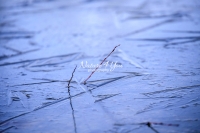 Nature Photography; Art; Landscape; Ice; Frozen Ice; ; Winter; Bavaria; Germany; Water Forms