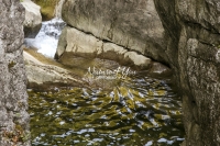 Nature Photography; Art;Landscape; Waterfalls; Water; Bavaria; Rocks; Water Forms