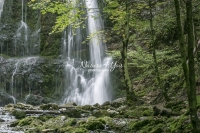 Nature Photography; Art; Landscape; Waterfall; Water, Forest; Wood; Woods; Bavaria; Germany; Water Forms