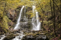 Nature Photography; Art; Landscape; Waterfall; Water, Forest; Wood; Woods; Bavaria; Germany; Water Forms