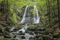 Nature Photography; Art; Landscape; Waterfall; Water, Forest; Wood; Woods; Bavaria; Germany; Water Forms