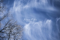 Nature Photography; Art; Landscape; Clouds; Bavaria; GermanyWater Forms