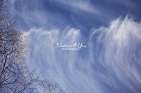 Nature Photography; Art; Landscape; Clouds; Bavaria; GermanyWater Forms