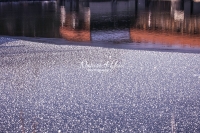 Nature Photography; Art; Landscape; Water; Waterfall; Ice; Frozen water; Winter moods; Water Forms; Bavaria; Germany