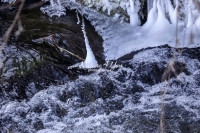 Nature Photography; Art; Landscape; Water; Waterfall; Ice; Frozen water; Winter moods; Water Forms; Bavaria; Germany