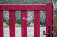 Spider webs on door frames in La Bourdonnerie