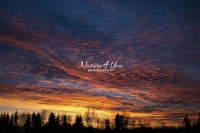 Winter Scene: Cumuls clouds at sunset with a forest silhouette in the Bavarian Highlands