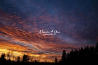 Winter Scene: Cumulus clouds at sunset with a forest silhouette in the Bavarian Highlands