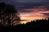 Sunset with a forest silhouette in Bavaria