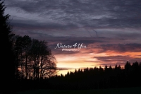 Sunset with a forest silhouette in the Bavarian Highlands