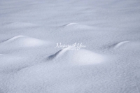 Winter Scene: Small hills covered with diamond snow in Bavaria