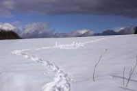 Winter Scene: Snow path going throw a landscape covered with snow in Bavaria