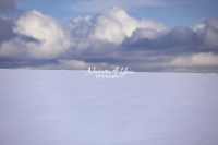 Winter Scene: Field covered with snow with upcoming cumulus clouds in Bavaria