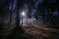 Gleam of sunlight in a forest glade in Bavaria
