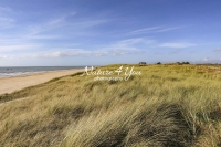 Grassy field by the beach with ocean view in Normandy