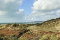 Dunes with ocean view in Normandy