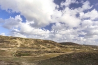 Dunes in the countryside of Normandy