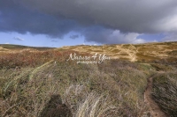 Dunes with upcoming storm in Normandy