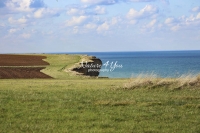 Urban Living: Agricultural field by the coast of Normandy