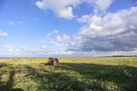 Urban Living: Agricultural scape with bale of hay near the coast of Normandy