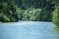Kayaking on the Isar River Bavaria surrounded by trees