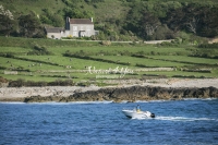 Urban Living: Cottage by the coast of Normandy with incoming speedboat and grazing cows
