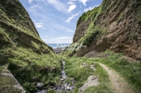 Country path in a green valley towards the ocean in Normandy