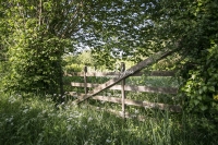 Urban Living: Farm gate in the countryside near the coast in Normandy