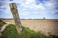 Urban Living: Agricultural scape at the coast of Normandy