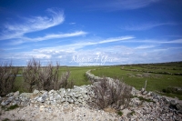 Urban Living: Dry stone wall architecture at the coast of Normandy