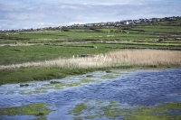 Urban Living: Village at the coast of Normandy
